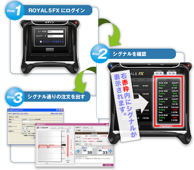 池島麻美のROYAL5FX